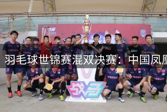 羽毛球世锦赛混双决赛：中国凤凰组合惜败法国选手摘银